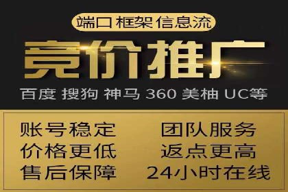 百度竞价排名案例分析：提升网站流量与转化率